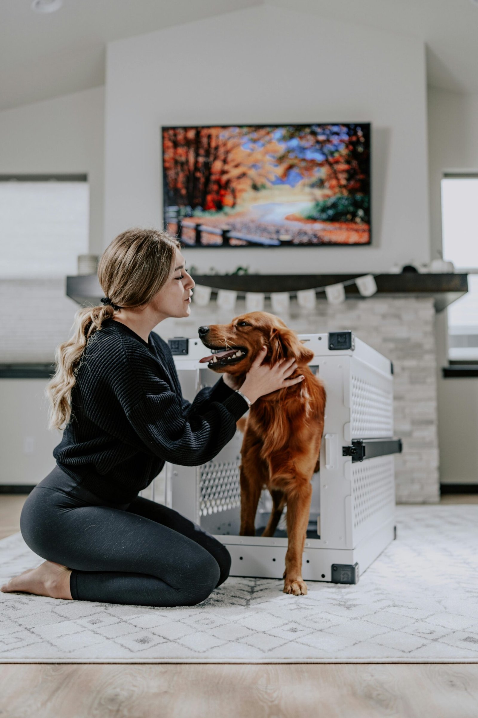 pexels-impact-dog-crates-1789722873-28949489 pexels-impact-dog-crates-1789722873-28949489