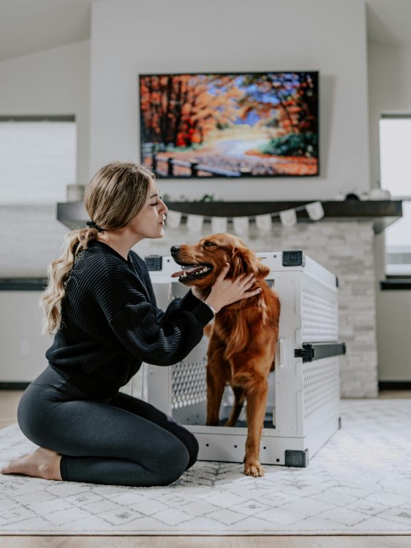 pexels-impact-dog-crates-1789722873-28949489